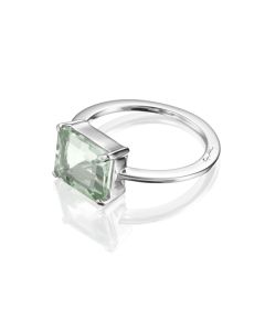 Efva Attling A green dream hopeasormus 13-100-01340