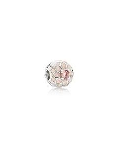 Pandora hopeariipus 791828NBP