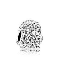 Pandora hopeariipus 791966